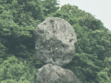 鯖寿司とバッテラの違い