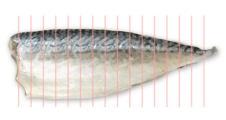 サバの並の切り方