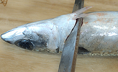 サバのおろし方4