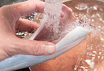 サバのおろし方7